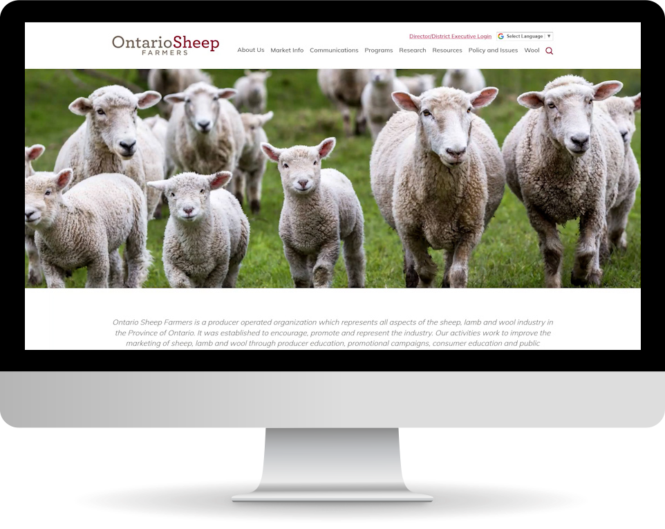 OSF site on desktop